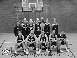 Aufstiegsbild Team 2003/2004 (jpg, 149kB)